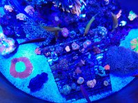 20201120_105554.jpg