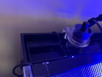EE53DF18-29D6-4622-9FEB-83A011B3A059.jpeg