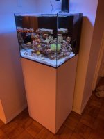 IMG_2055-1.jpg