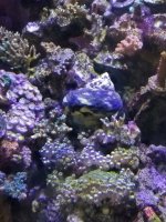 20201125_165821.jpg