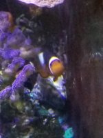 20201125_165916.jpg