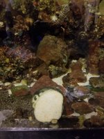 20201103_171132.jpg