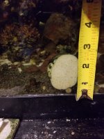 20201103_171155.jpg