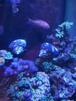20201125_181231.jpg
