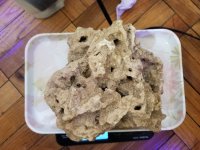 20201127_091952.jpg