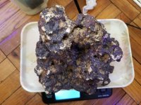 20201127_092147.jpg