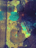 20201129_191304.jpg