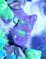 20201203_003841.jpg