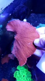 20201202_161111.jpg