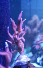 20201202_193326.jpg