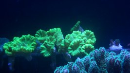 20201118_195441.jpg