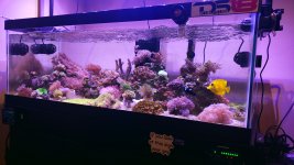 20201004_155619.jpg