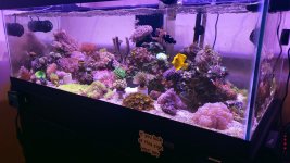 20201004_155531.jpg