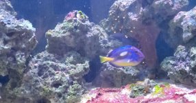 SmartSelect_20201207-070711_Video Player.jpg