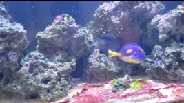 SmartSelect_20201207-070648_Video Player.jpg