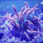 IMG_20201208_121917_572.jpg