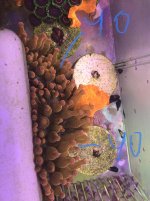 0EB863B8-8C8D-4912-AC2E-DD3612C52489.jpeg