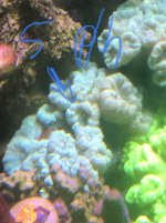 90788218-BDC6-4B3E-8904-E340CD18D26B.jpeg
