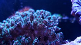 20201208_193510.jpg