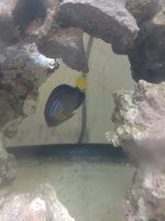 20201210_074950.jpg