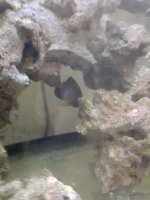 20201210_073430.jpg