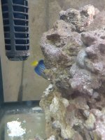 20201210_074946.jpg