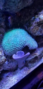 20201213_132021.jpg