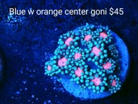 IMG_20201211_222343061~3.jpg