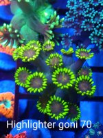 IMG_20201213_143414788~3.jpg