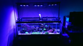 20200817_101254.jpg