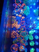 IMG_20201211_222131879~3.jpg