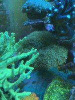 2347C360-134D-4157-9B3F-C3B01BE3E587.jpeg