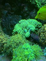 87B644F5-1729-440D-9D6C-477793A9616F.jpeg