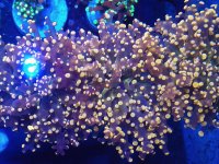 IMG_20201216_221548837~3.jpg