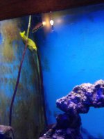 IMG_20201217_162247.jpg