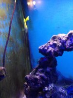 IMG_20201217_162244.jpg