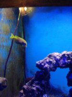 IMG_20201217_162120.jpg