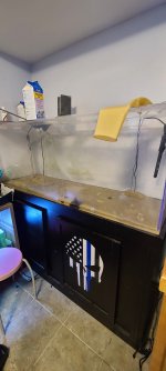 20201218_120246.jpg