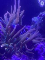 63230B05-93BA-443F-9DCC-6D698D4821A9.jpeg