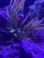 769B4855-5D05-4996-AB8F-DC709D3E5E5E.jpeg