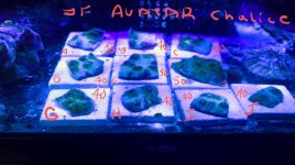 20201207_085507.jpg