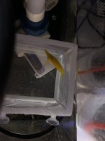 4A0345CB-7B21-4470-BC3D-01A6E208EA23.jpeg