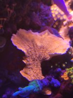20201220_134454.jpg