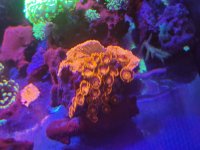 20201220_134600.jpg