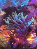 20201220_134654.jpg