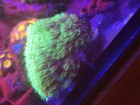 20201220_134623.jpg