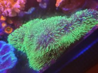 20201220_134616.jpg