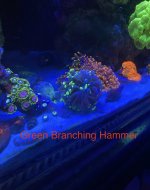06DED326-408E-4E89-A564-5AB887D363C2.jpeg