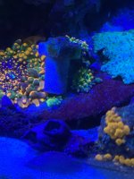 07BA260C-984A-4DF1-BD98-4AB1BB4F89E2.jpeg