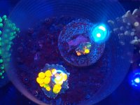 IMG_20201223_213350470.jpg